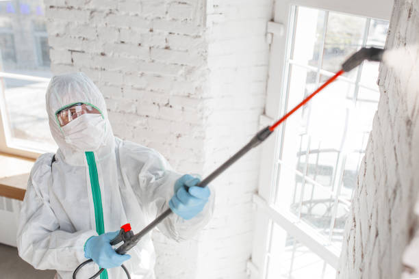 Best Real Estate Mold Inspection  in Wharton, TX