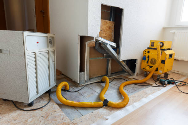 Mold Remediation for Rental Properties in Wharton, TX