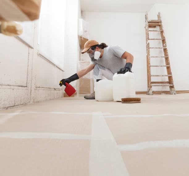 Best Mold Documentation for Insurance Claims  in Wharton, TX